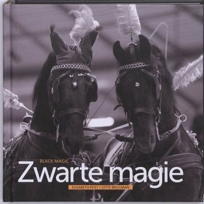Zwarte magie - 2e-hands in goede staat ( Friese paard )