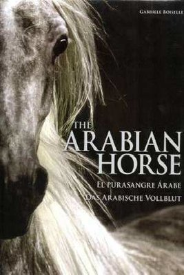The Arabian horse - Nieuwstaat ( Arabische volbloed )
